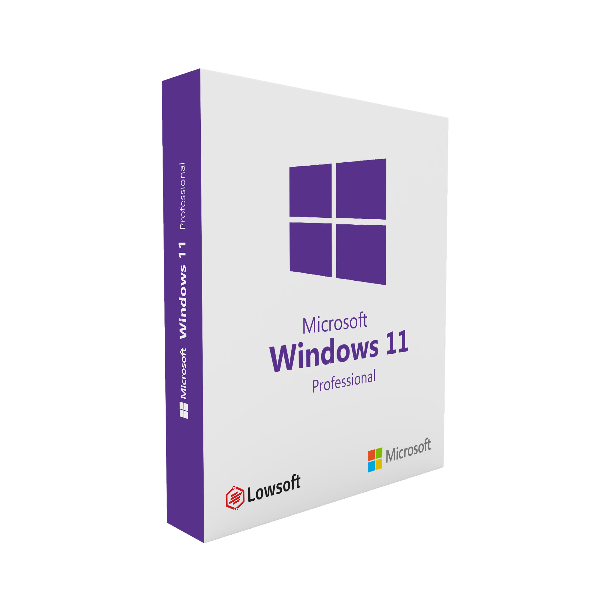 Microsoft Windows 11 Professional